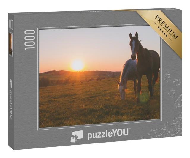 Puzzle 1000 Teile „Zwei Pferde im Sonnenuntergang“