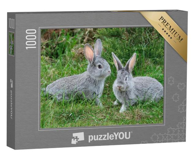 Puzzel 1000 stukjes „Pluizige grijze konijnen op het groene gras“