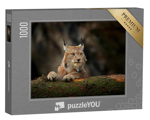 Puzzel 1000 stukjes „Aandachtige lynx in het bos“