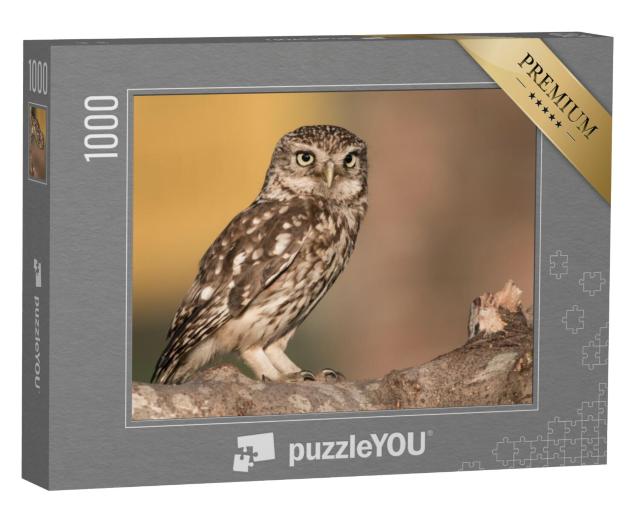 Puzzel 1000 stukjes „Steenuil op een tak“