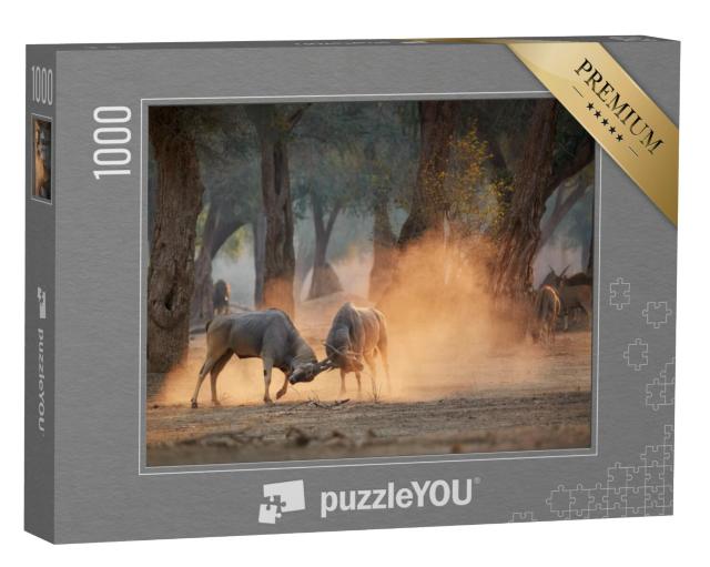 Puzzel 1000 stukjes „Eland, Taurotragus oryx, Zimbabwe“