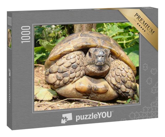 Puzzle 1000 Teile „Detaillierte Nahaufnahme einer Schildkröte“