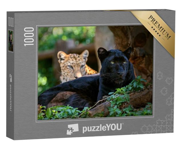 Puzzel 1000 stukjes „Luipaard of panter“