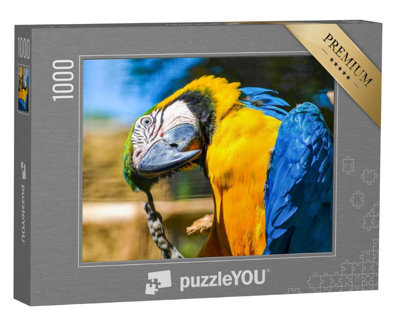 Puzzel 1000 stukjes „Blauw met gele ara“