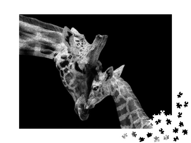 Puzzle 1000 Teile „Vertrauen: Giraffenmutter und Jungtier“