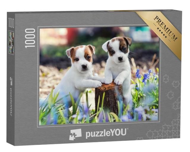 Puzzel 1000 stukjes „Twee schattige Jack Russell puppy's“