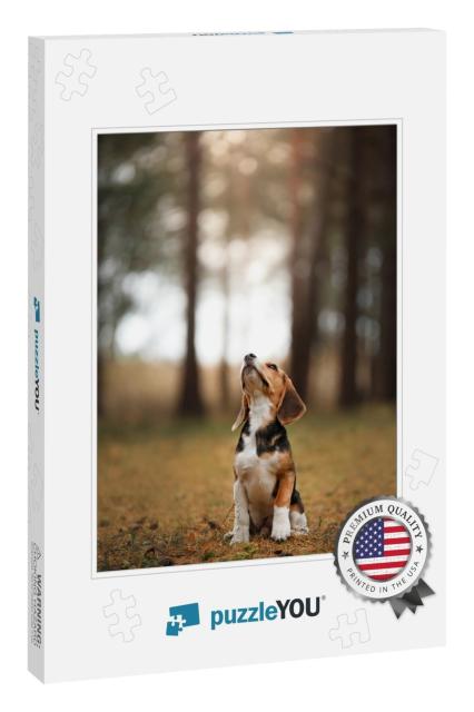 Dog on Nature in the Park. Beagle Puppy. Pet for a Walk... Jigsaw Puzzle