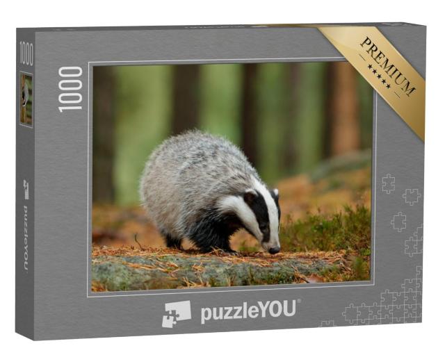 Puzzel 1000 stukjes „Das op een regenachtige dag in de natuur, Duitsland“