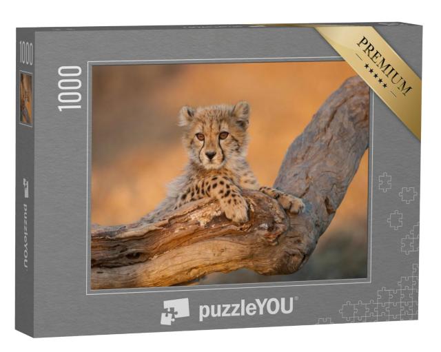 Puzzel 1000 stukjes „Jachtluipaarden op een tak in het Krugerpark, Zuid-Afrika“