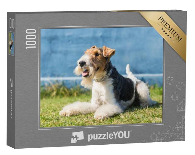 Puzzel 1000 stukjes „Vrolijke vos terriër“