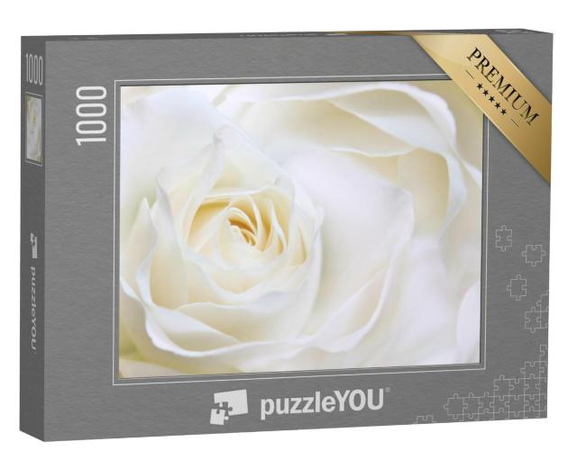 Puzzel 1000 stukjes „Witte roos close-up“