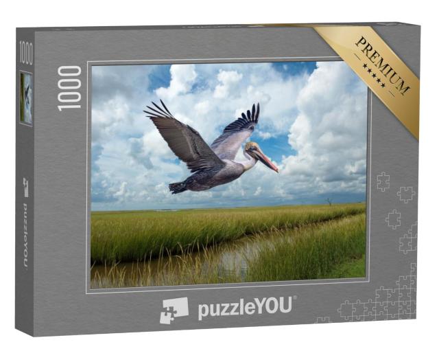 Puzzel 1000 stukjes „Bruine pelikaan in vlucht boven moerassen bij Grand Isle Louisiana“