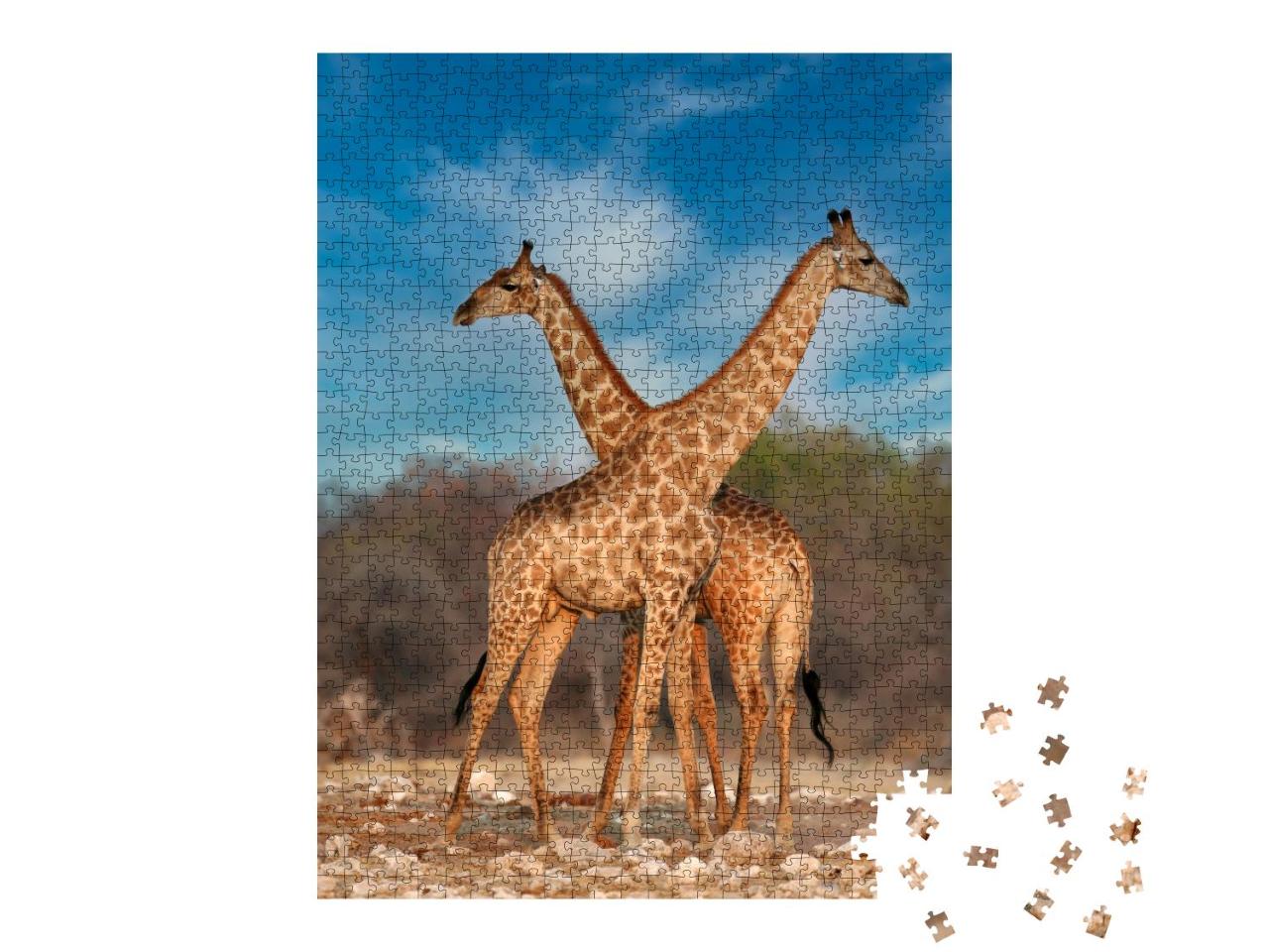 Puzzle 1000 Teile „Zwei Giraffen“