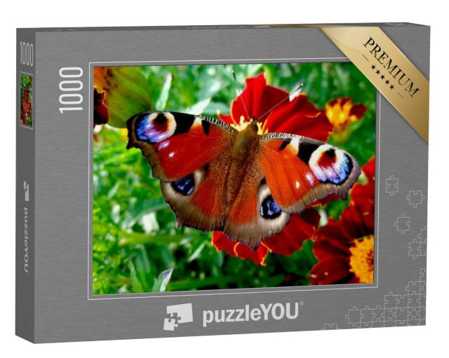 Puzzel 1000 stukjes „Pauw vlinder op een rode bloem“