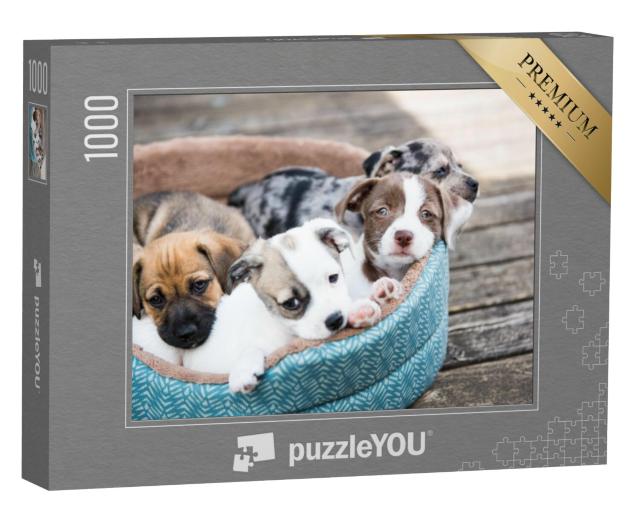 Puzzel 1000 stukjes „Terriër mix pups op het houten terras“