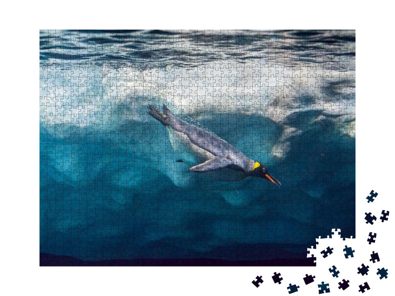Puzzle 1000 Teile „Pinguin taucht unter dem Eis, Unterwasserfoto“