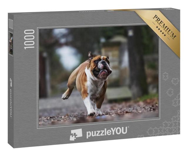 Puzzle 1000 Teile „Lustige Bulldogge in vollem Lauf“