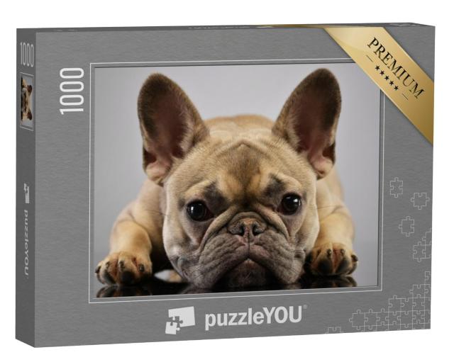 Puzzel 1000 stukjes „Portret van een schattige Franse bulldog“