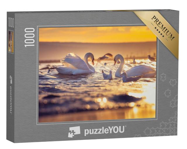 Puzzel 1000 stukjes „Witte zwanen en meeuwen bij zonsopgang“