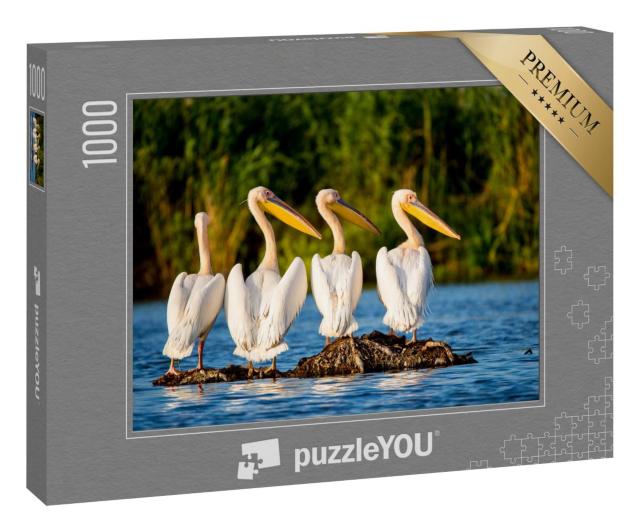 Puzzle 100 Teile „Pelikankolonie am Donaudelta, Rumänien“