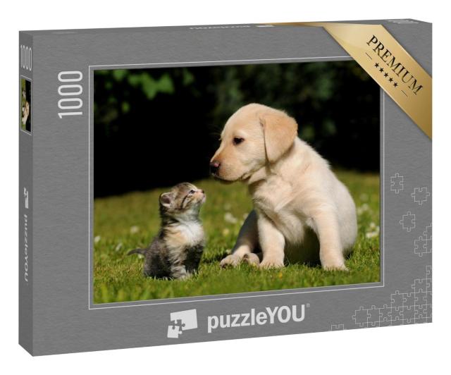 Puzzle 100 Teile „Katze und Hund“