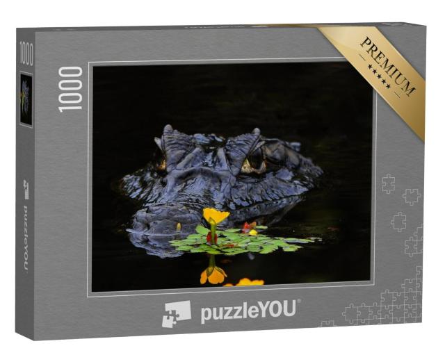 Puzzel 1000 stukjes „Kaaimannen zijn krokodillen“