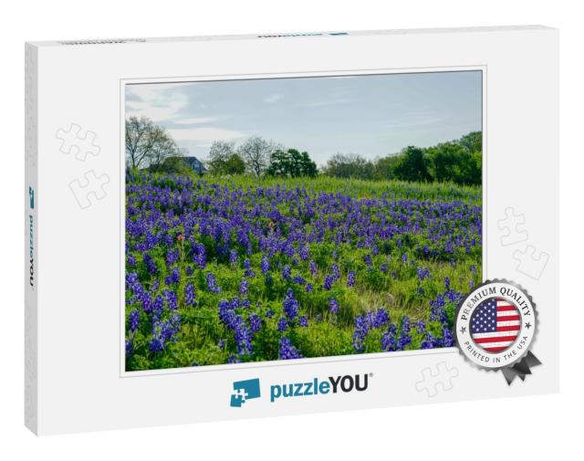 View of Bluebonnet Wildflowers Along Countryside Near the... Jigsaw Puzzle