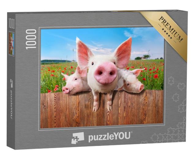 Puzzel 1000 stukjes „Jonge varkens op de boerderij kijken over het hek“