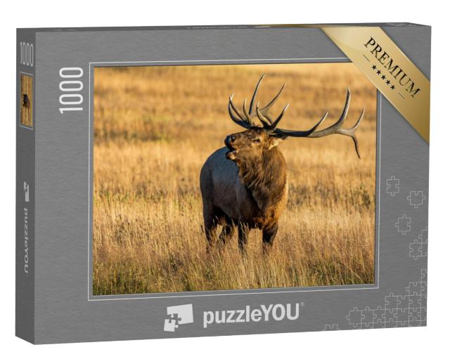 Puzzel 1000 stukjes „Elanden in Rocky Mountain National Park“