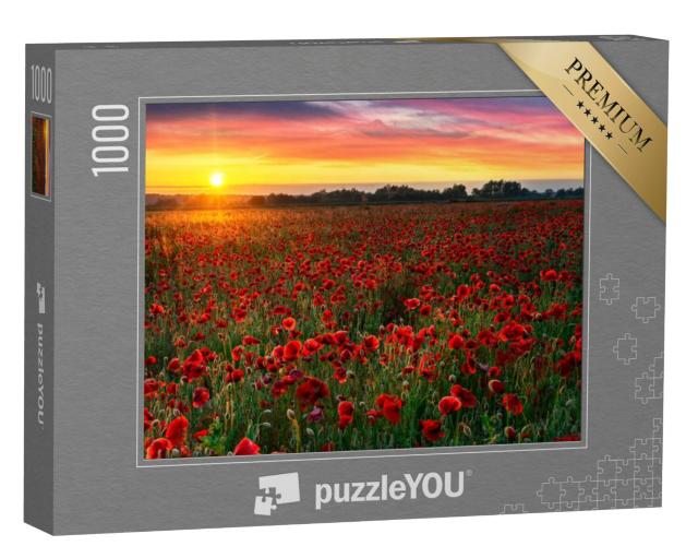 Puzzel 1000 stukjes „Prachtig klaprozenveld bij zonsopgang“