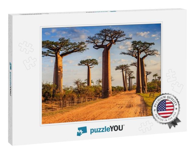 Beautiful Baobab Trees At Sunset At the Avenue of the Bao... Jigsaw Puzzle