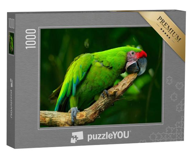 Puzzel 1000 stukjes „Grote groene ara, zeldzame vogel uit Costa Rica“