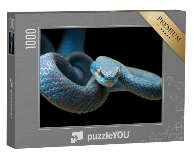 Puzzel 1000 stukjes „Blauwe adder op de tak, klaar om prooi aan te vallen“