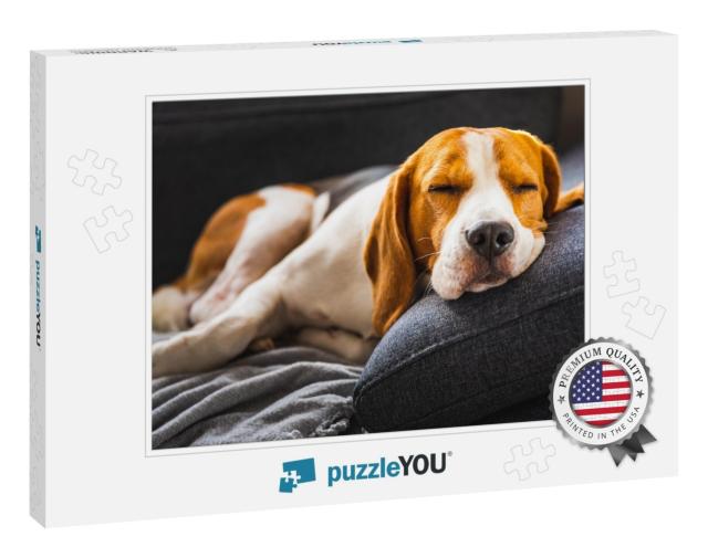 Adorable Beagle Hound in Bright Interior Background. a Pe... Jigsaw Puzzle