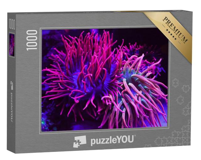 Puzzel 1000 stukjes „Felpaarse koralen in een aquarium“