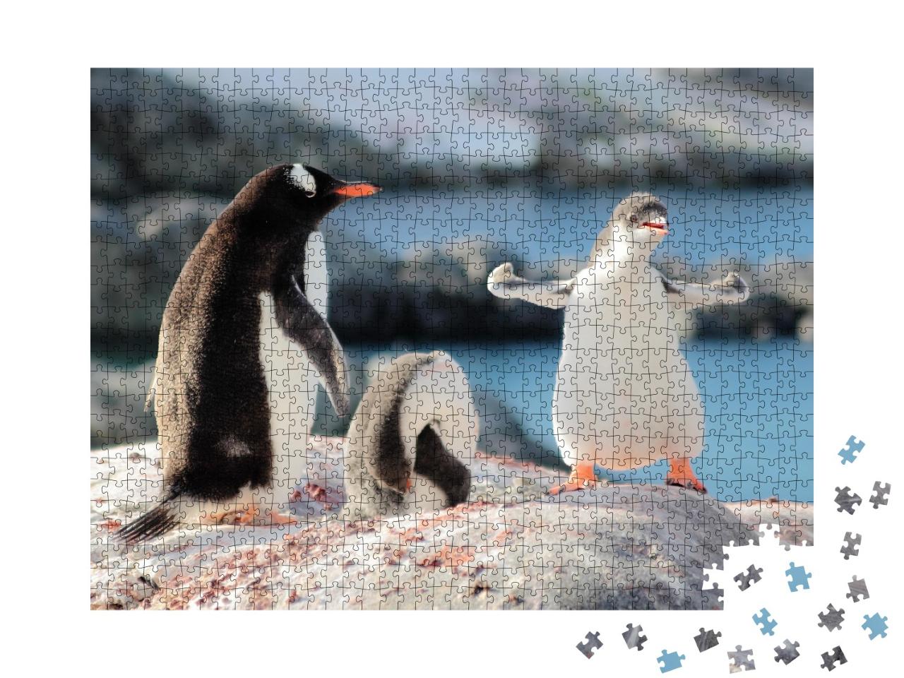 Puzzle 1000 Teile „Wer ist der stärkste Pinguin?“