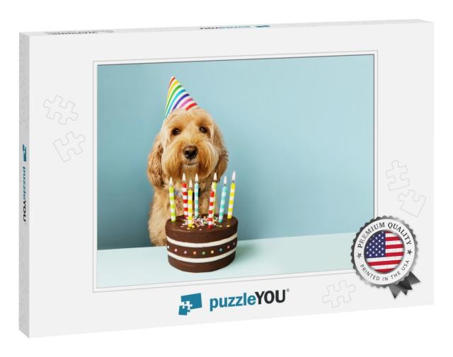 Funny Dog with Birthday Cake & Hat... Jigsaw Puzzle