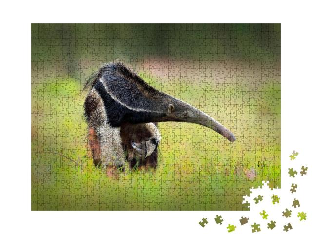 Puzzle 1000 Teile „Riesiger Ameisenbär, Myrmecophaga tridactyl, Brasilien“