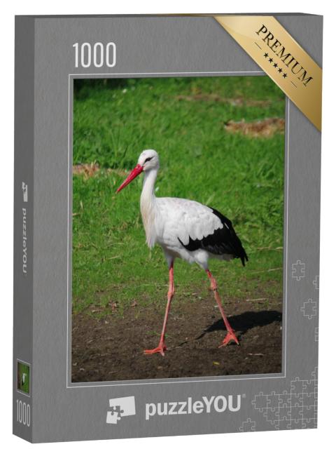 Puzzel 1000 stukjes „Kleine ooievaar schrijdt door de tuin“