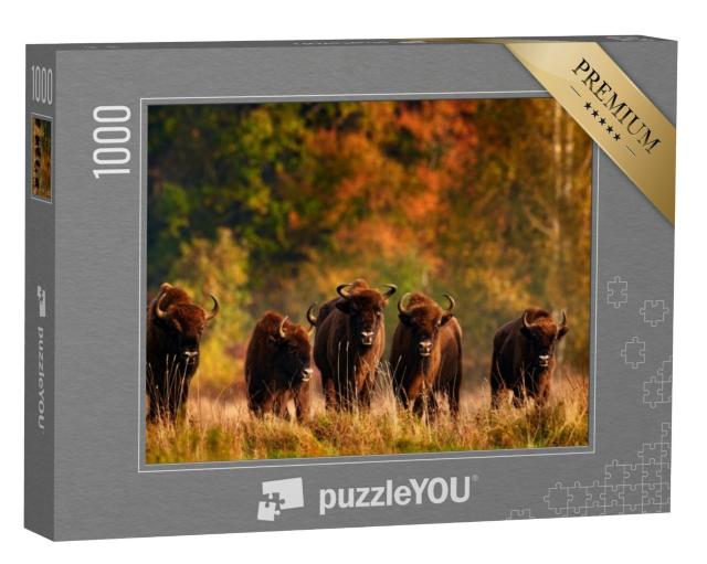 Puzzel 1000 stukjes „Herfstbos met weidekudde in Polen“