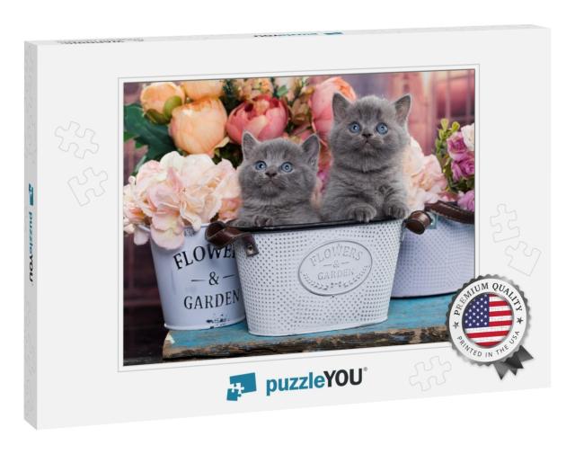 Kittens & Flowers... Jigsaw Puzzle