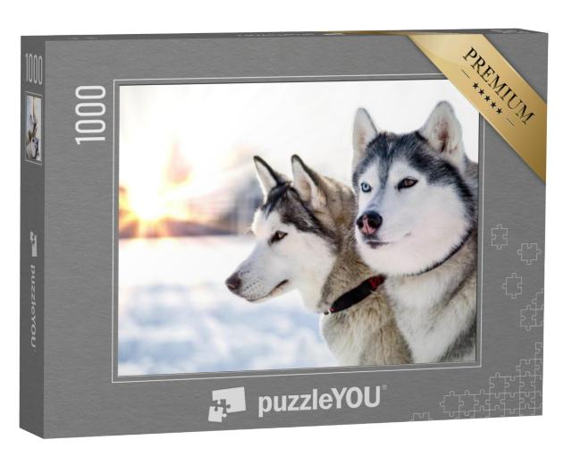 Puzzel 1000 stukjes „Twee Siberische husky's in een winterse zonsondergang“