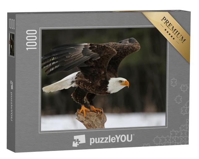 Puzzel 1000 stukjes „Een zeearend“