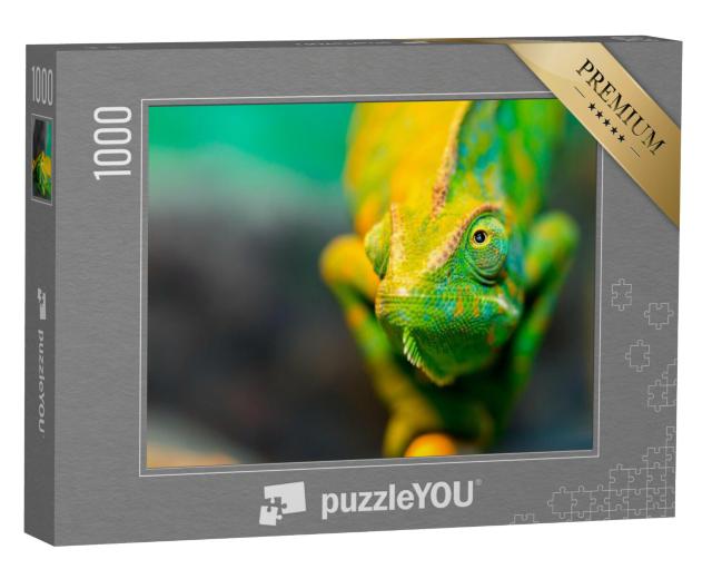 Puzzel 1000 stukjes „Kameleon, close-up“