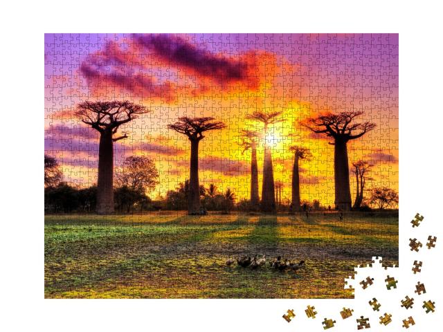 Puzzle 1000 Teile „Affenbrotbäume, Baobab, bei Sonnenuntergang in Madagaskar“