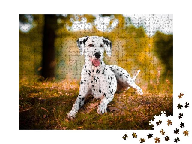 Puzzle 1000 Teile „Dalmatiner im Gras, schwarzer und weißer Hund“
