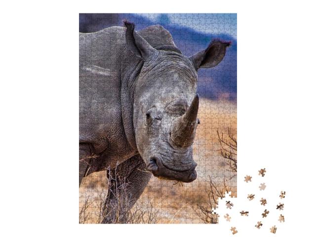 Puzzle 1000 Teile „Breitmaulnashorn, Khama Rhino Sanctuary, Botswana“