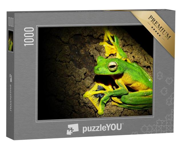 Puzzel 1000 stukjes „Wallace's boomkikker, klaar om te springen“