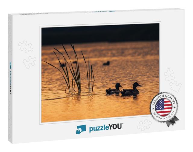 Silhouette Look on the Ducks in the Lake Water During the... Jigsaw Puzzle
