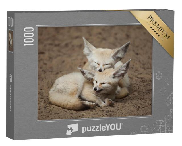 Puzzel 1000 stukjes „Fennec vossen nemen een korte pauze“